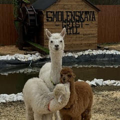 Глэмпинг APPARADISE GLAMPING & SPA, Краснодарский край