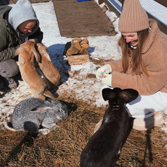Глэмпинг APPARADISE GLAMPING & SPA, Краснодарский край