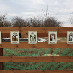 Глэмпинг APPARADISE GLAMPING & SPA, Краснодарский край