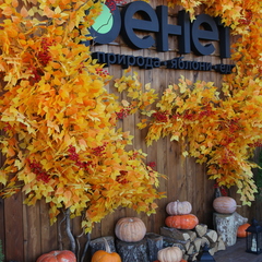 Глэмпинг APPARADISE GLAMPING & SPA, Краснодарский край