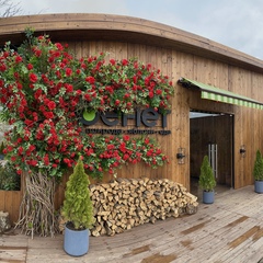 Глэмпинг APPARADISE GLAMPING & SPA, Краснодарский край