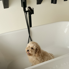 Глэмпинг APPARADISE GLAMPING & SPA, Краснодарский край