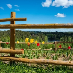 База отдыха Пан Фазан, Всеволожский район, Ленинградская область