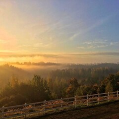 База отдыха Пан Фазан, Всеволожский район, Ленинградская область