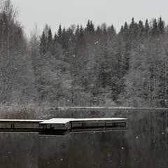 Загородный дом Birchdom, Ярославская область