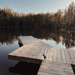 Загородный дом Birchdom, Ярославская область