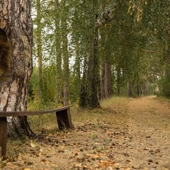 Загородный комплекс Аракуль, Челябинская область