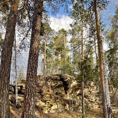 Загородный комплекс Аракуль, Челябинская область