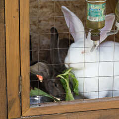 Загородный комплекс Аракуль, Челябинская область