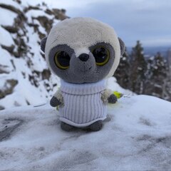 Загородный комплекс Аракуль, Челябинская область