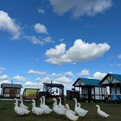 Усадьба Гусли, Алтайский край