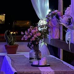 Усадьба Гусли, Алтайский край