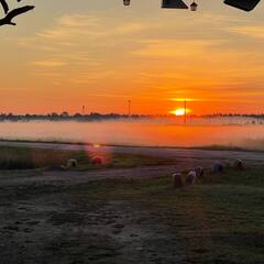 Усадьба Гусли, Алтайский край