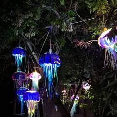 Усадьба Гусли, Алтайский край