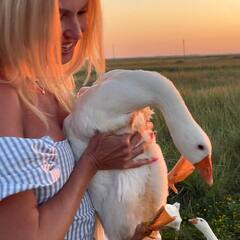 Усадьба Гусли, Алтайский край