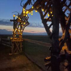 Усадьба Гусли, Алтайский край