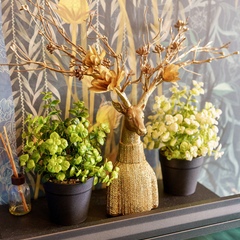 Апартаменты Apart Mari Набережная Генерала Карбышева, д. 4, Калининград, Калининградская область