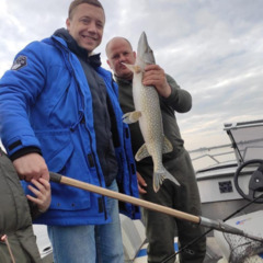 База отдыха Кумовка, Волгоградская область