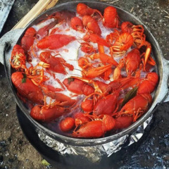 База отдыха Кумовка, Волгоградская область