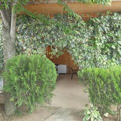 Гостевой дом Comodita, Гагрский район