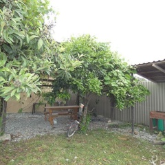 Гостевой дом Comodita, Гагрский район