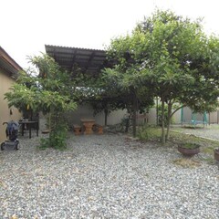 Гостевой дом Comodita, Гагрский район