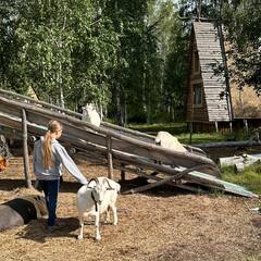 Эко-комплекс Веселая ферма, Омская область