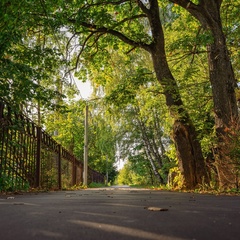 Эко-отель Тепло, Московская область