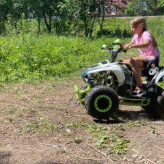 Гостевой дом Гранд Алтай Манжерок, Республика Алтай