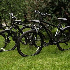 Гостевой дом Гранд Алтай Манжерок, Республика Алтай