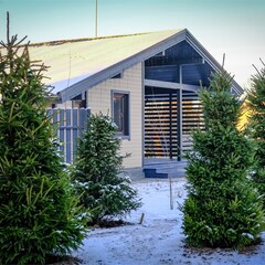 База отдыха Бережок, Ленинградская область