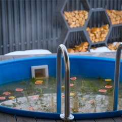 База отдыха Бережок, Ленинградская область