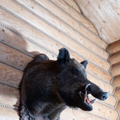 База отдыха Дивная Бухта, Тверская область