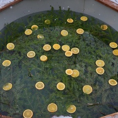 Эко-отель Масловка, Татарстан