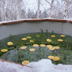 Эко-отель Масловка, Татарстан