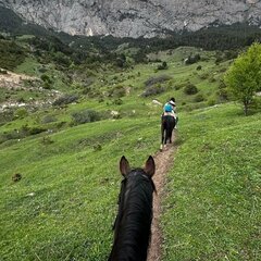 Глэмпинг Chilli Bros camp, Республика Северная Осетия - Алания