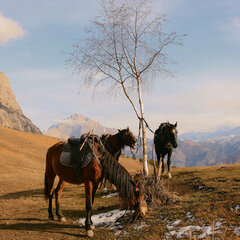 Глэмпинг Chilli Bros camp, Республика Северная Осетия - Алания