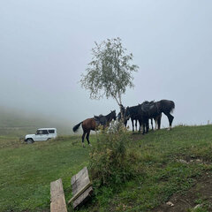 Глэмпинг Chilli Bros camp, Республика Северная Осетия - Алания