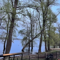 Глэмпинг Gavrusha Glamp, Самарская область