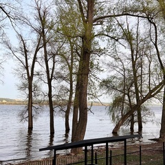 Глэмпинг Gavrusha Glamp, Самарская область