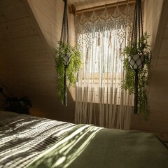 Глэмпинг  В кронах, Московская область