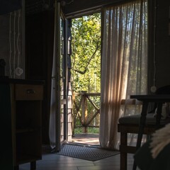 Глэмпинг  В кронах, Московская область