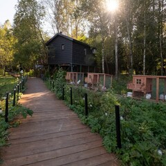 Глэмпинг  В кронах, Московская область