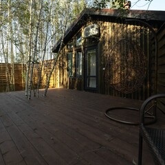 Глэмпинг  В кронах, Московская область