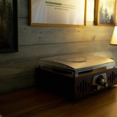 Глэмпинг  В кронах, Московская область