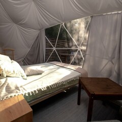 Глэмпинг  В кронах, Московская область