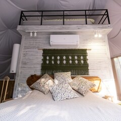 Глэмпинг  В кронах, Московская область