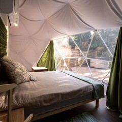 Глэмпинг  В кронах, Московская область