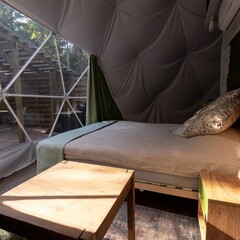 Глэмпинг  В кронах, Московская область