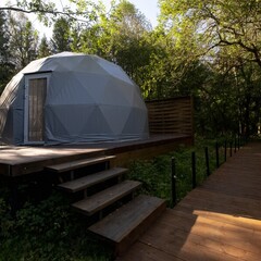 Глэмпинг  В кронах, Московская область